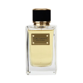 Nước hoa Dolce&Gabbana Velvet Patchouli Eau de Parfum Unisex chiết 5ml 10ml